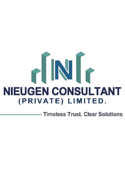 nieugen consultant logo 1 removebg preview